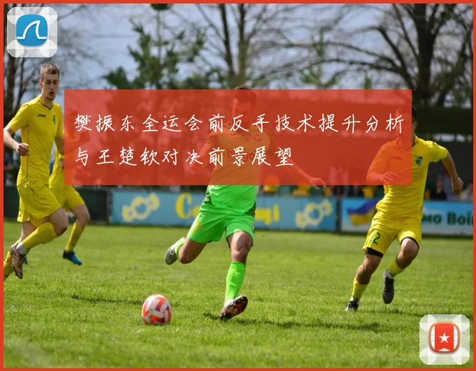 樊振东全运会前反手技术提升分析与王楚钦对决前景展望